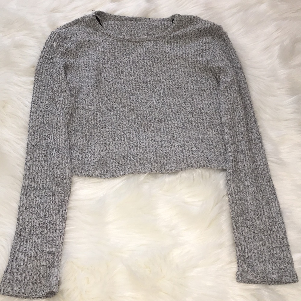Gray Cropped Long Sleeve❄️